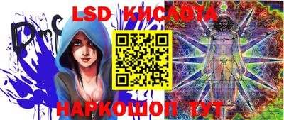 ALPHA PVP Гудермес