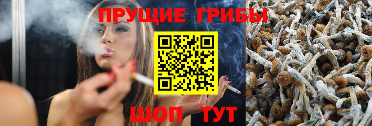 Псилоцибиновые грибы прущие грибы  Вход с VPN  Гай 