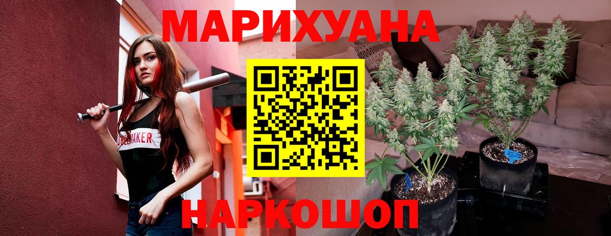 МАРИХУАНА ГИДРОПОН Гай
